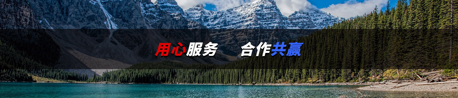 ??廯????????????豸???? ??廯????????????豸????